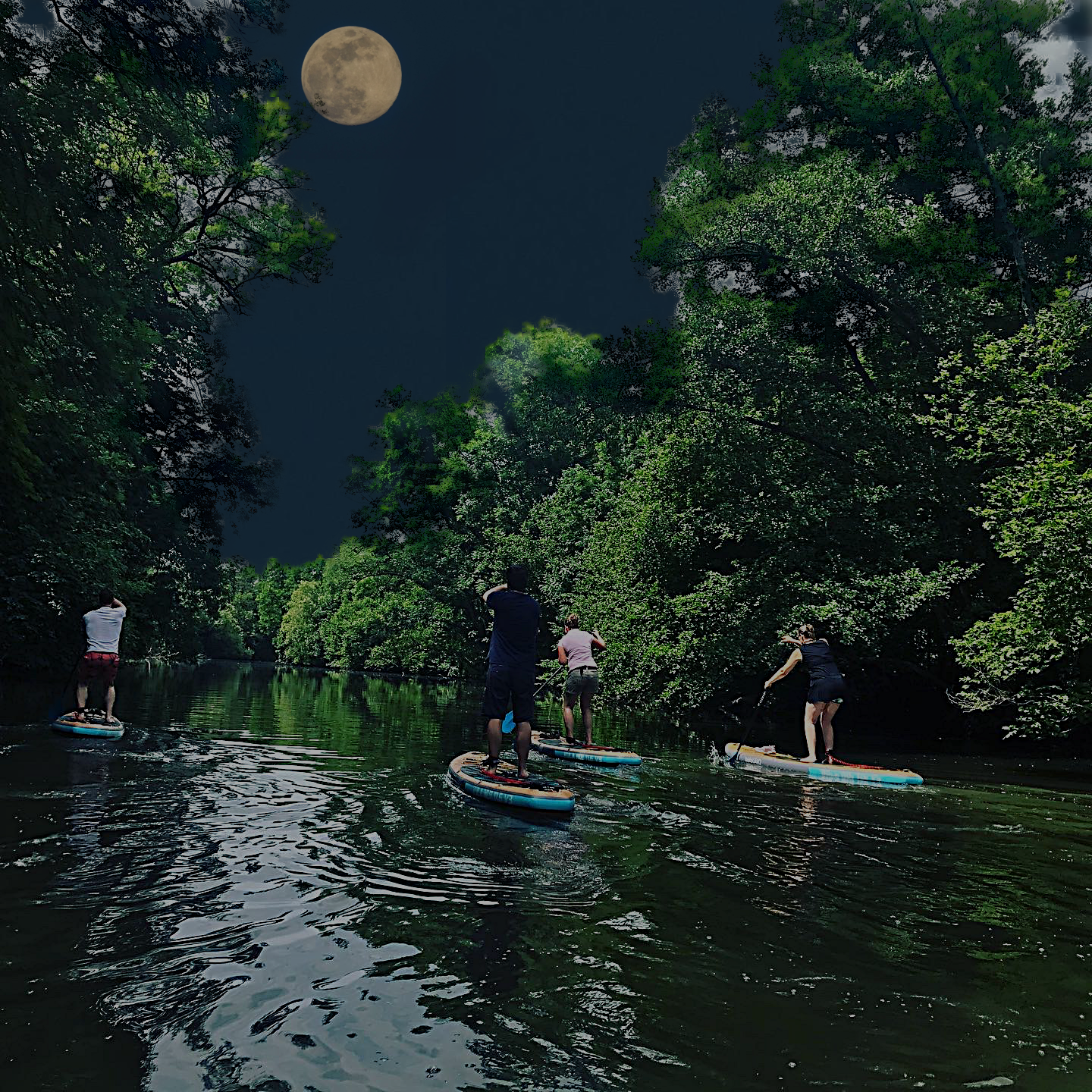 Read more about the article SUP Blue Moon Tour Enz Besigheim 31.08.23